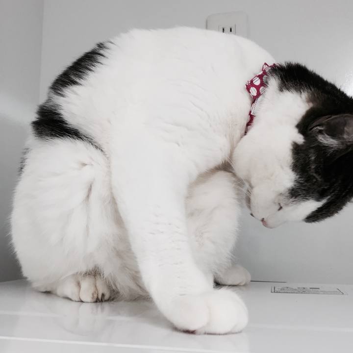 B3b9616b 6693 4bfb a68a db9531c313d9