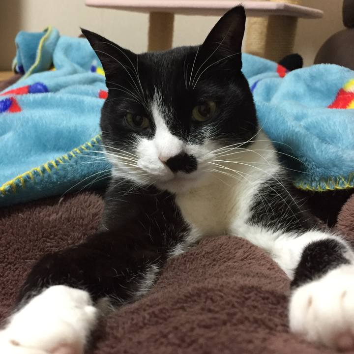 B3b9785e a9cf 4b7c aaec 5bb4dc2a29ea