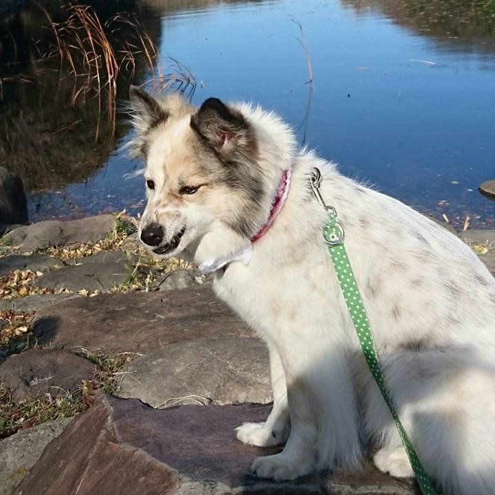 B3b99e78 e756 4d97 9b3f 4a39c216e528