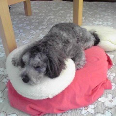 B3b9bf8f 9e2e 439f a344 ba262f09b8a5