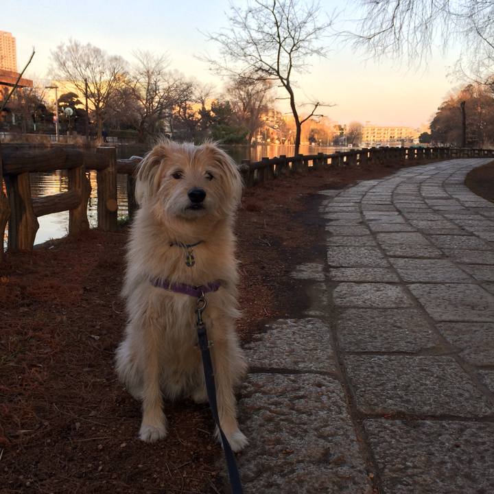 B3b9f593 d228 4c0a a056 91dc18550559