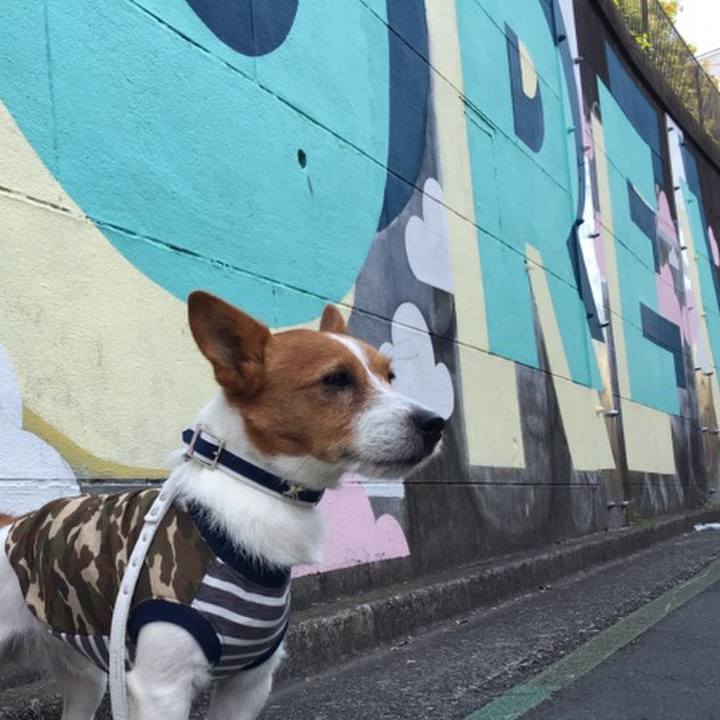 B3ba8e0a 7936 479a 9cfa 5d55a2666aa7