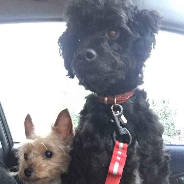 B3bac3bb 1695 4a21 bd12 99fafa1d2b12