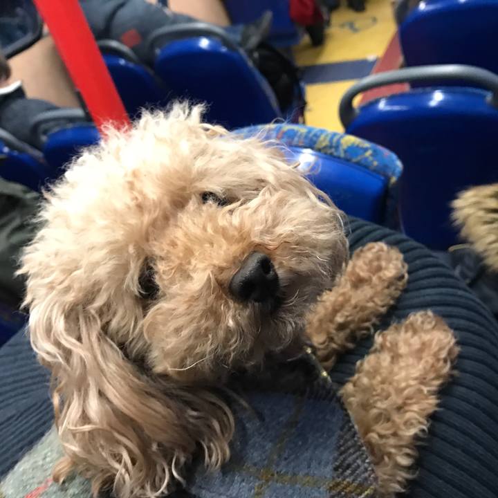 B3bb0364 0c94 4987 8357 8c29198c6181