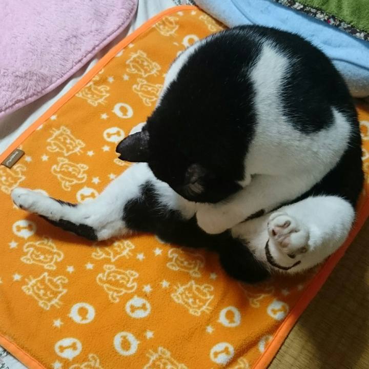 B3bb19e8 8668 4c3b 9fbe 8d0aa9978930