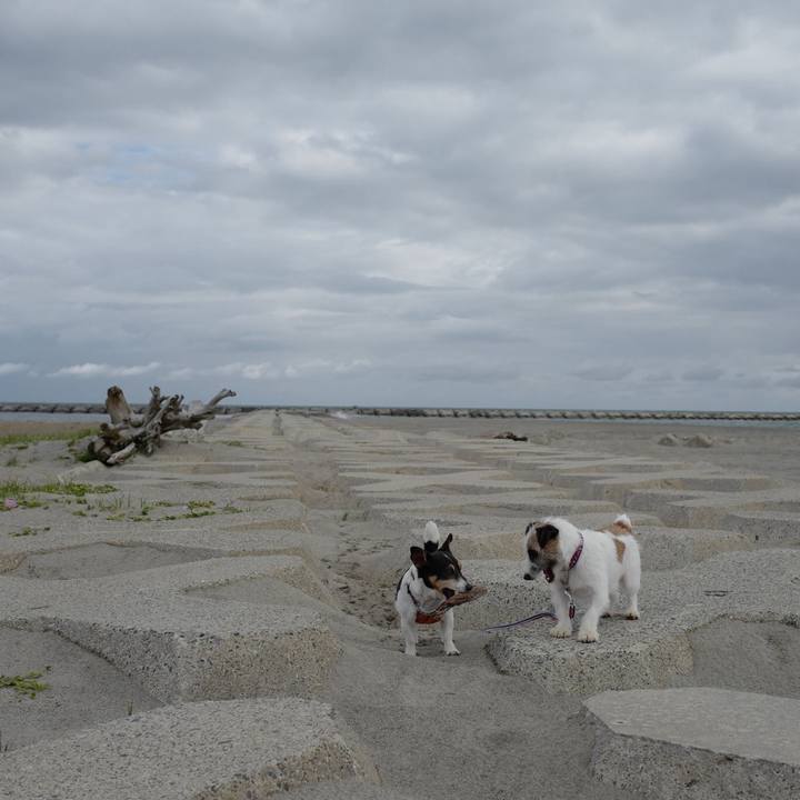 B3bb63e0 4366 424f 969b 4a81cec9cabe