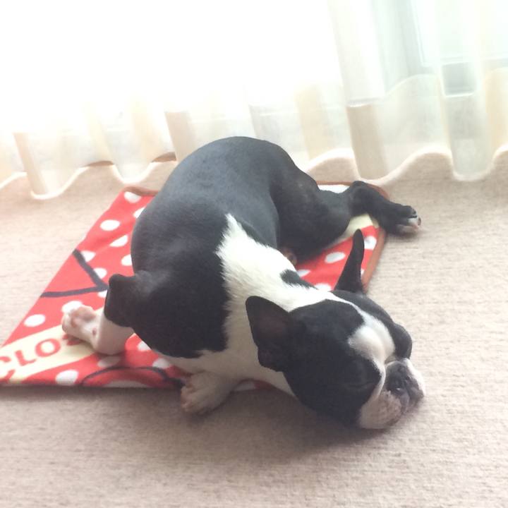 B3bb776e c220 4a0e 9d06 9fb02ca0c6bb