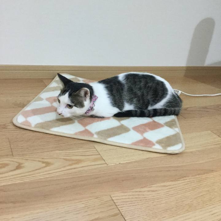 B3bb8388 a1eb 42fa abf6 f183a6e54444