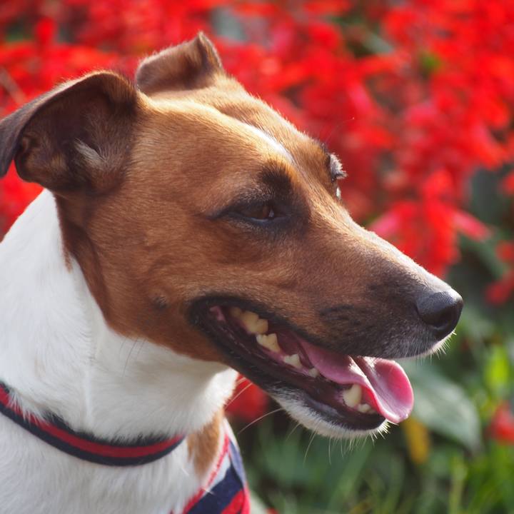 B3bb9161 f80d 4048 9a80 f94ff9fe7c6b