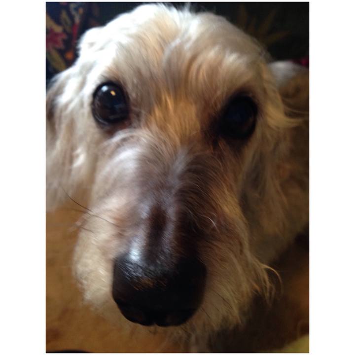 B3bba4de 9f0f 42d2 b2f3 c2a51b1c5c78