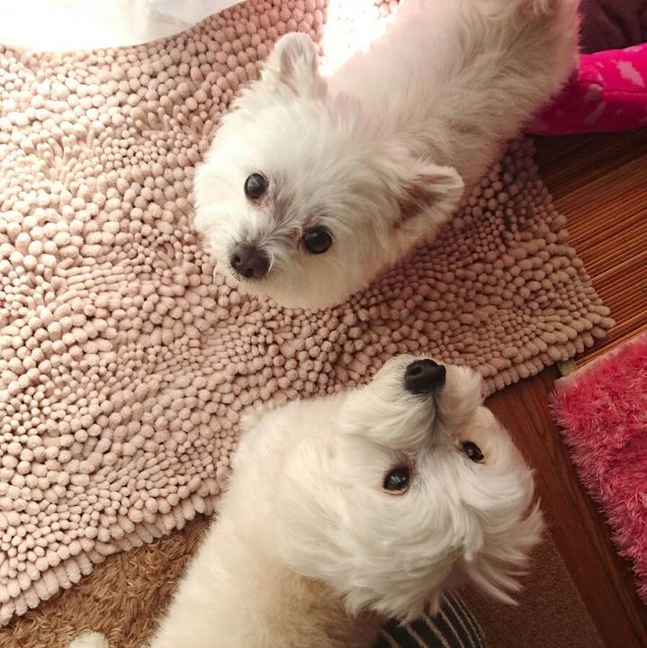 B3bcb9e7 a3f3 446b 9899 5c5670e576bd