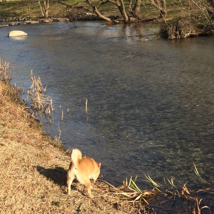 B3bcc3d5 6ed7 4059 99da 31260ba39da3