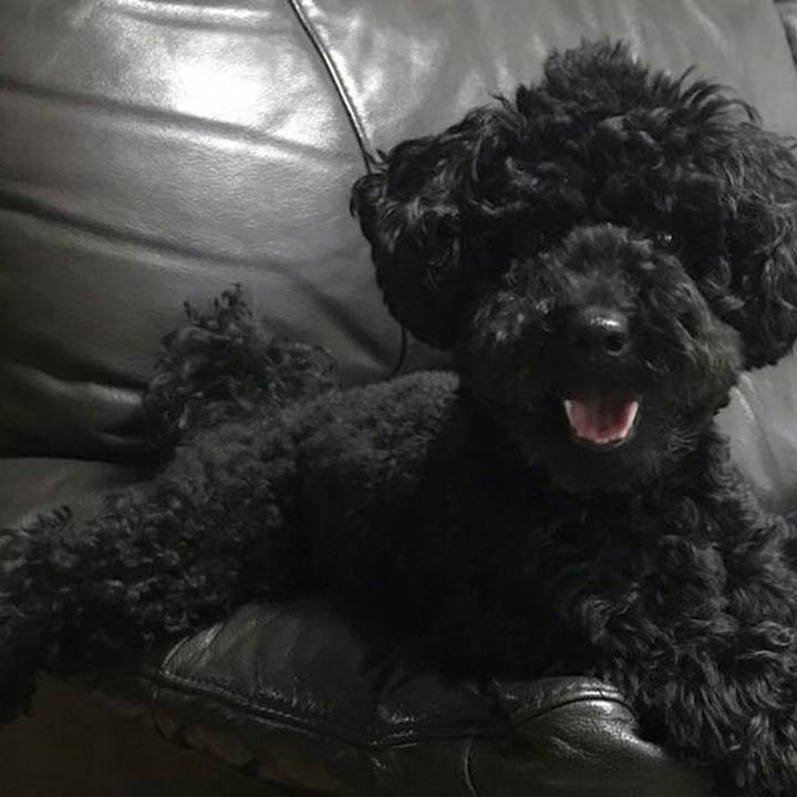 B3bd171e abd1 47fe a9c7 14dea38cc5aa