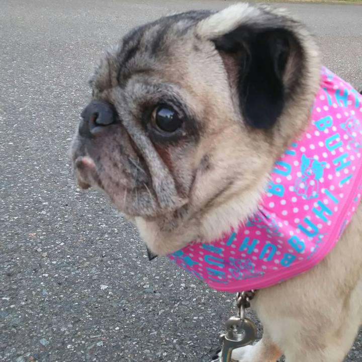 B3bd5a24 84b9 4786 828b ad8f883ae1de