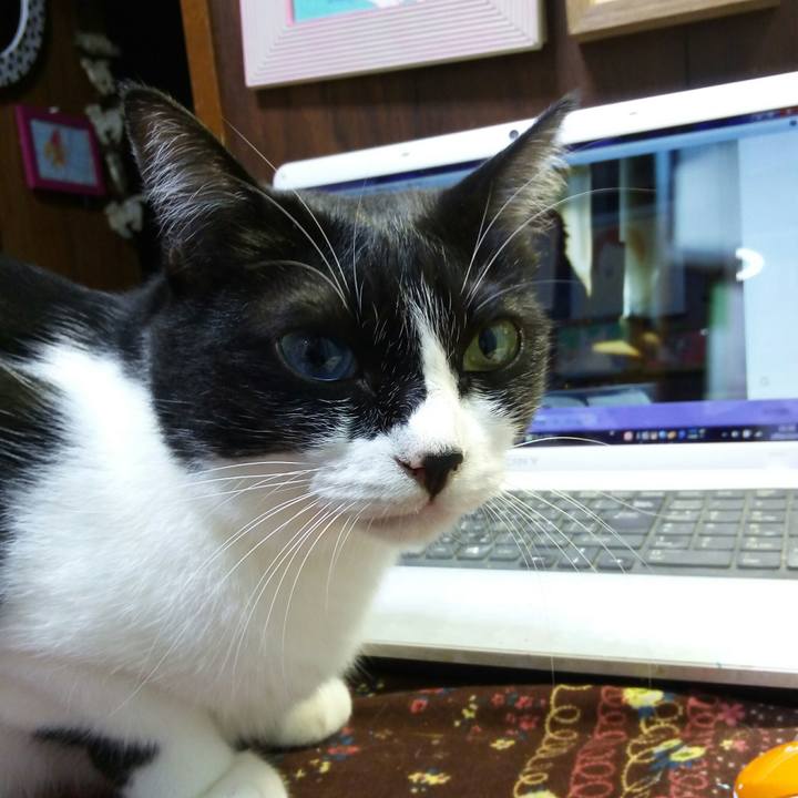 B3bdc8db 1095 4eff a43b 13660945c298