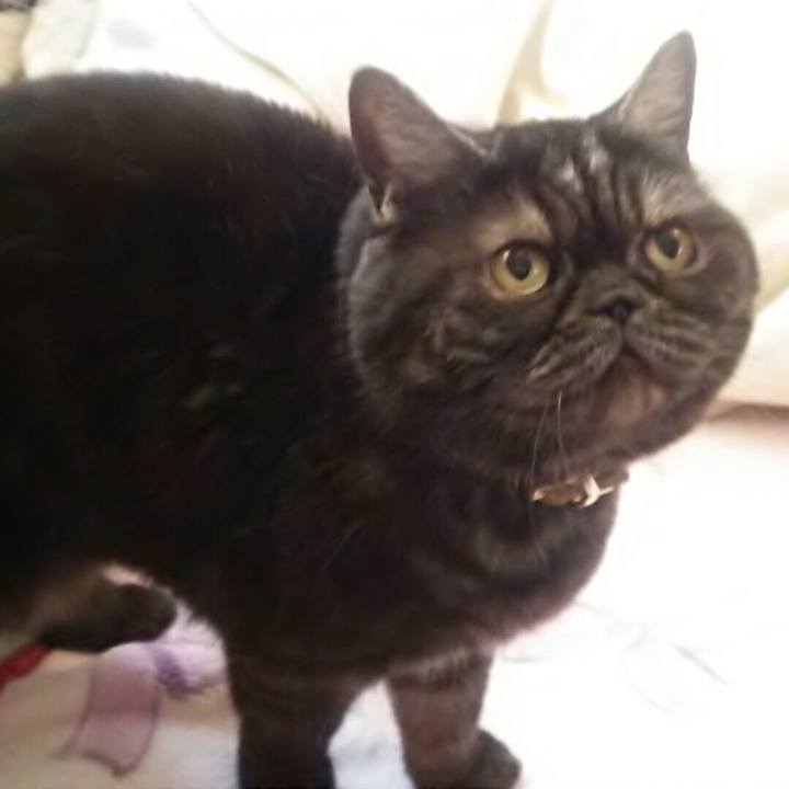 B3be2647 5f4b 4e57 8a49 807cc3d0c66e