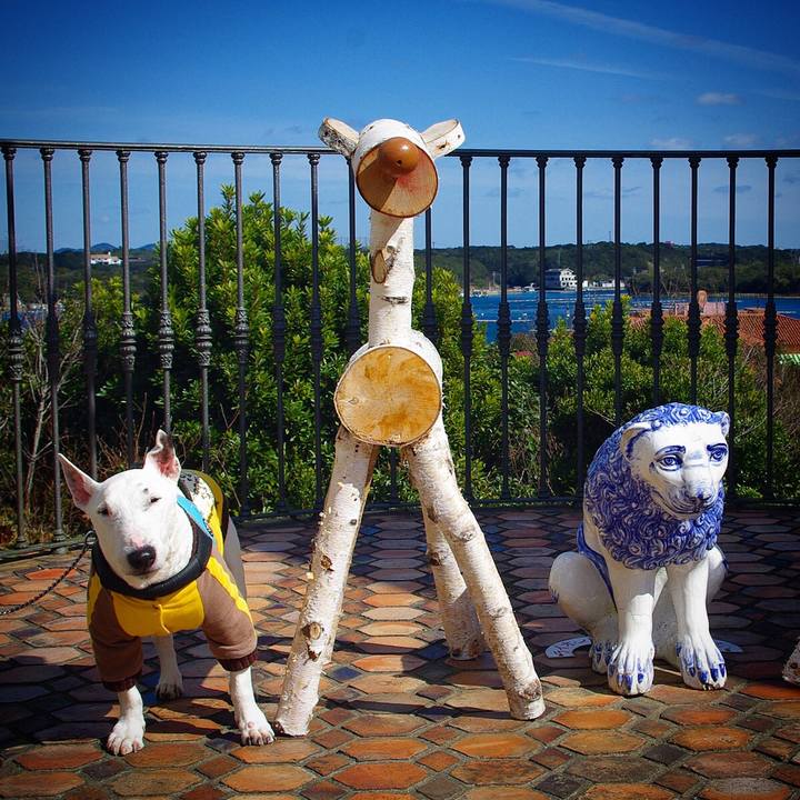 B3bf1ef2 e88b 4a46 b3f4 c4f25eb207d1