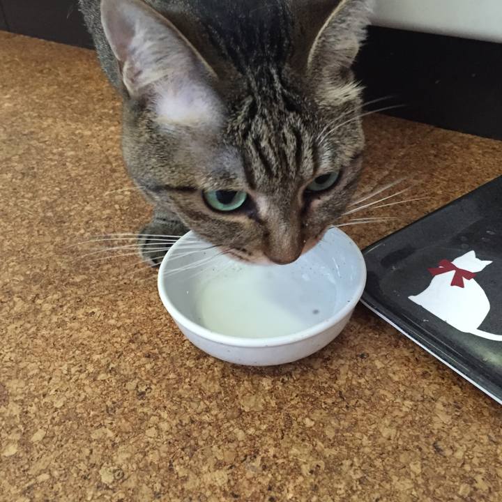 B3c0265a 8b88 4591 a66e 4c1c14b746ae