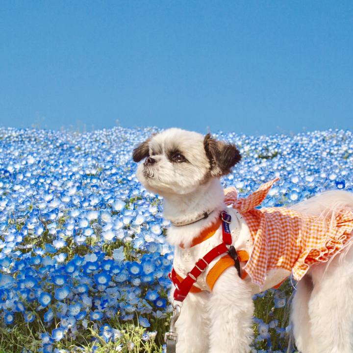 B3c0e592 2264 4d5c 8b4f 869066d4427e