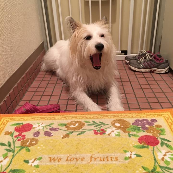 B3c17246 364e 4aff 9066 623ba19b7d47