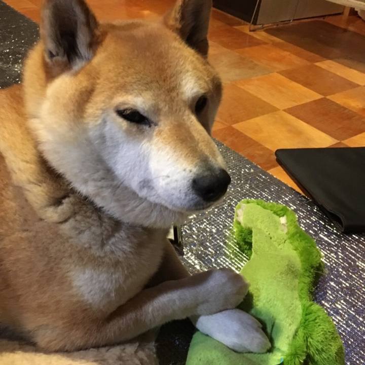 B3c1a120 87c3 43da a7d9 5ad8b06cab16