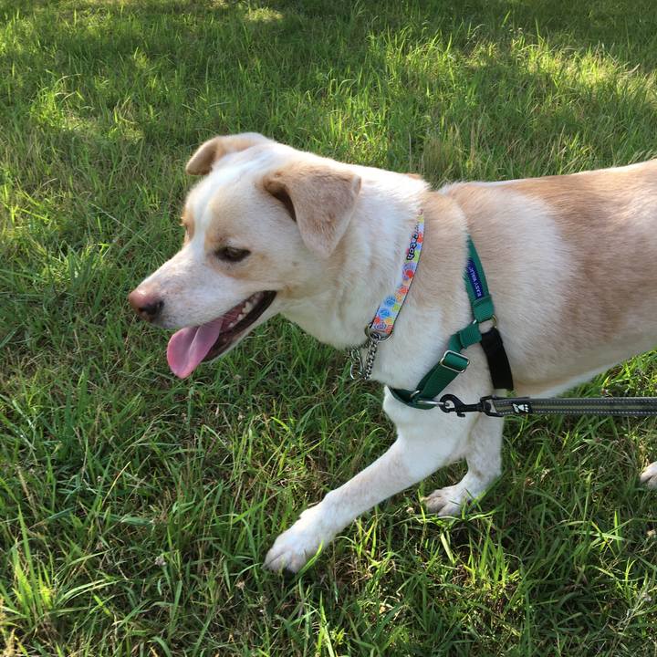 B3c1ba0f 7617 4e46 8519 c6f7c4da587e