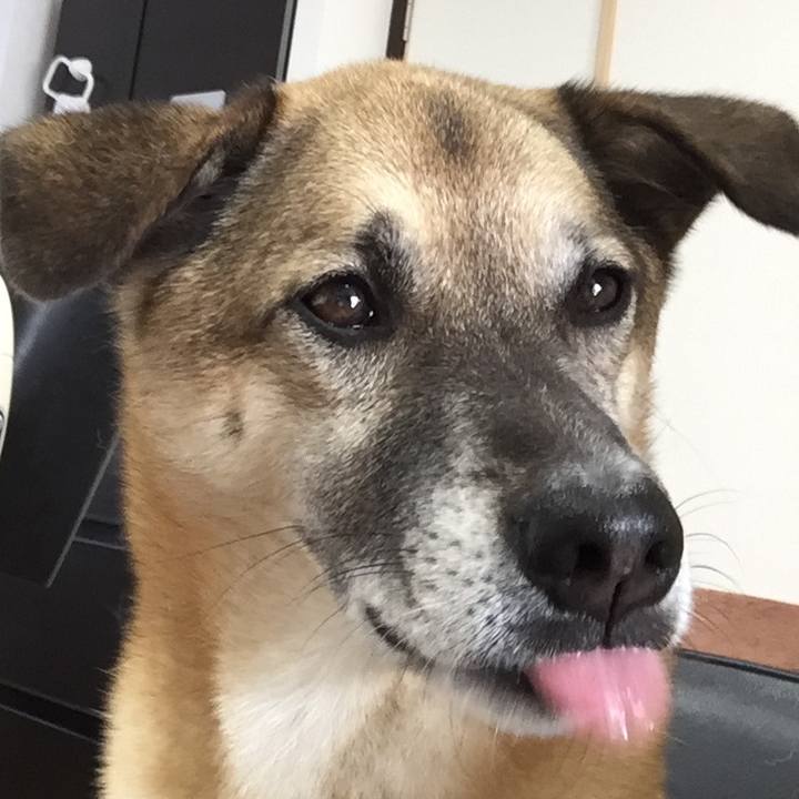 B3c20933 1628 41c6 b001 231e53f208b2