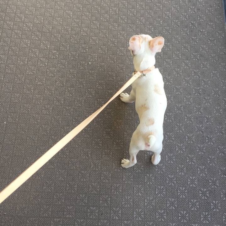 B3c2c528 745c 449b b733 5b15598062f5