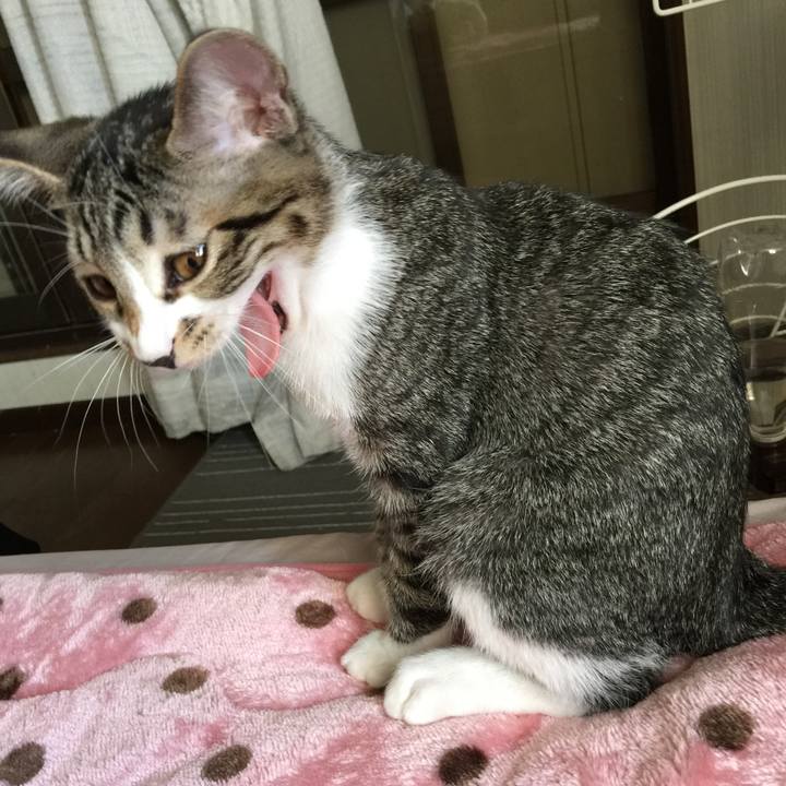 B3c2e003 46ef 4c0e 8d1c 8964f63738f8