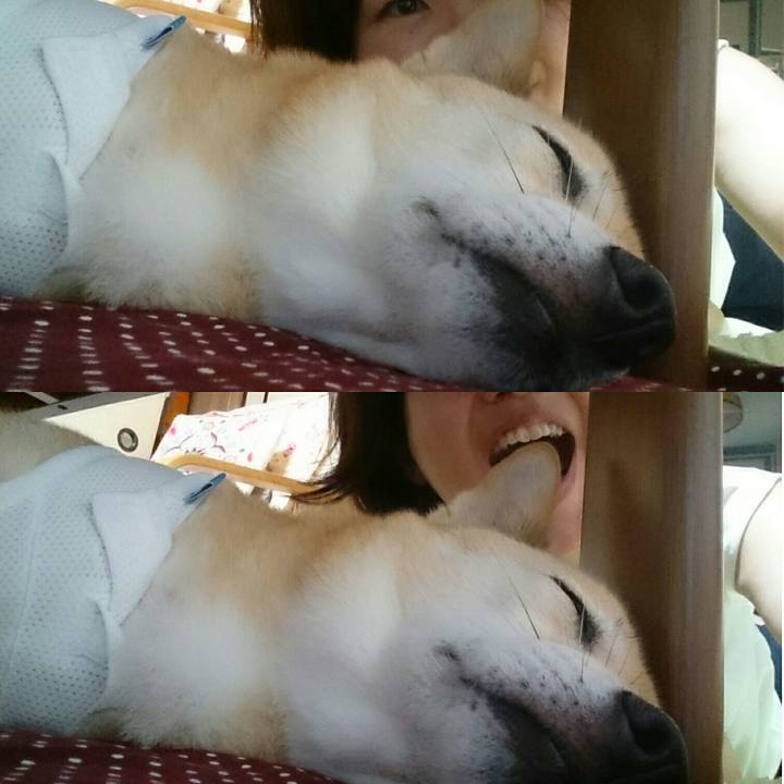 B3c2f794 5f46 4bc5 a472 c628ca9bf7f4