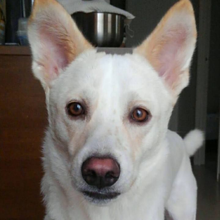 B3c346f4 4688 4d69 a09c 777803113203