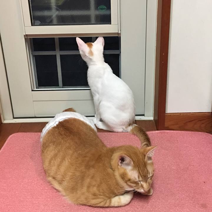 B3c34a57 ad95 46a9 b86a 41194abd3da2