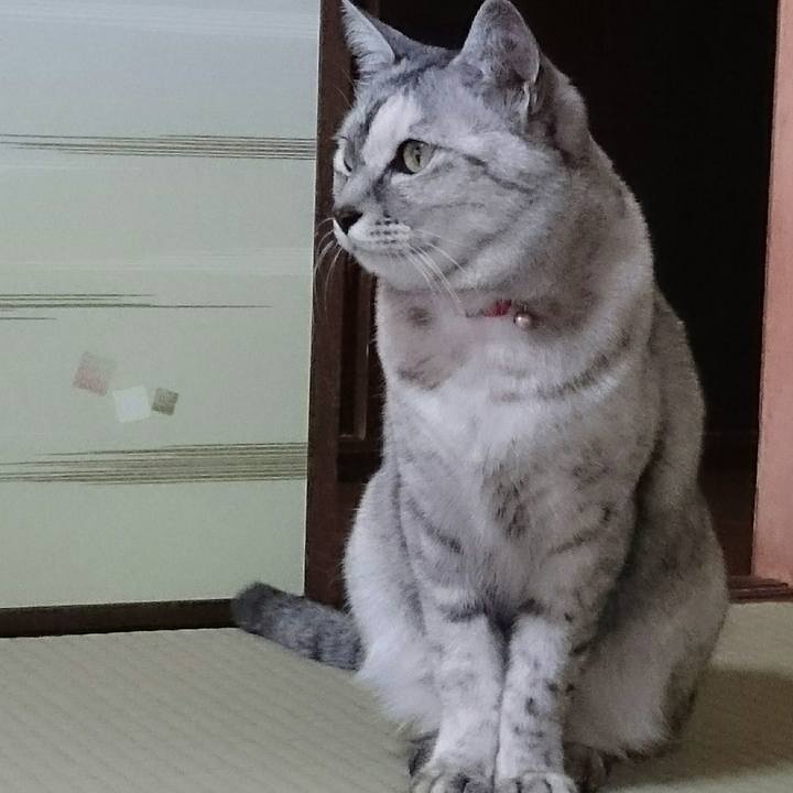 B3c36c38 4878 4ea6 993a c22899121ee8