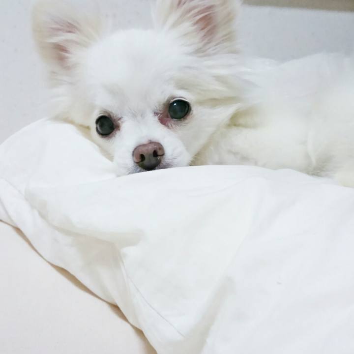 B3c44633 36a5 43f0 852b 5c8475906be8