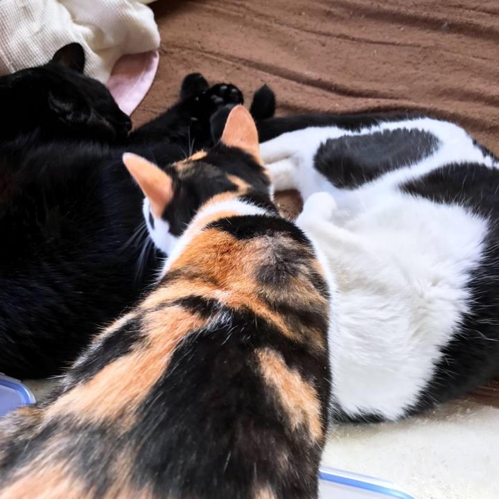 B3c52019 bb7f 4e6a 93b7 0c657eb0d5bd