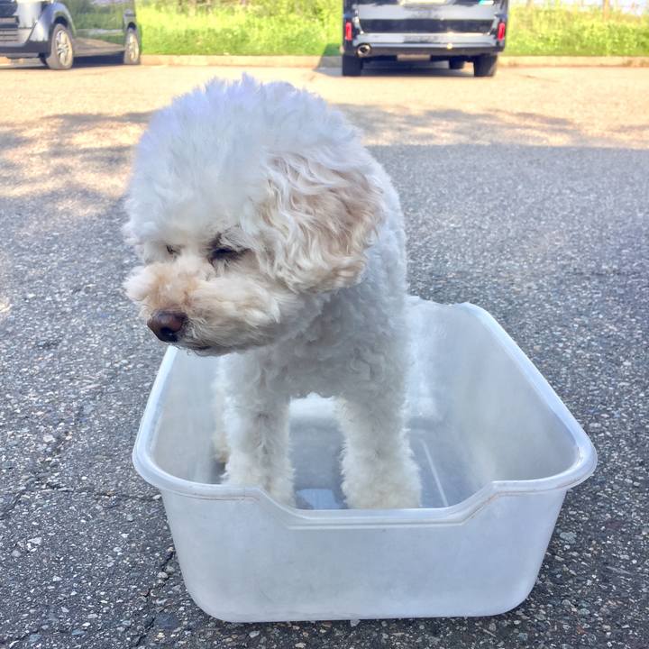 B3c6720a 7057 4d18 a009 23cff0ed3fd2