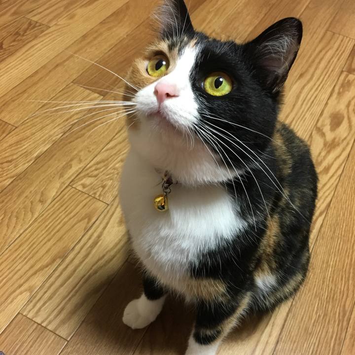 B3c6c090 4cd7 498a ac06 86ebbcfbde4c