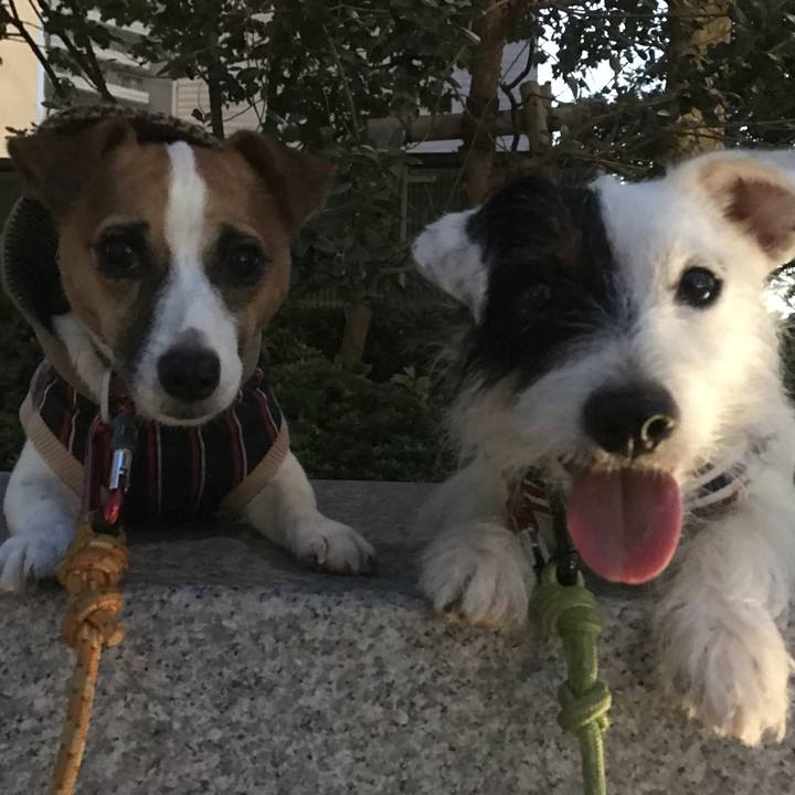 B3c6ddab 89b8 4a87 91f3 b9e932914e7b