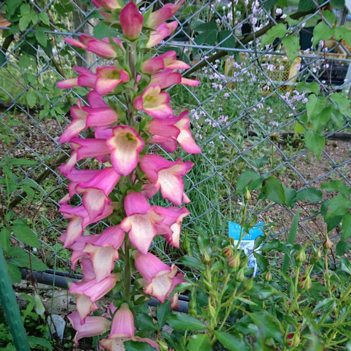 B3c708d9 d223 47fb 8c11 fd475ff5e3c3