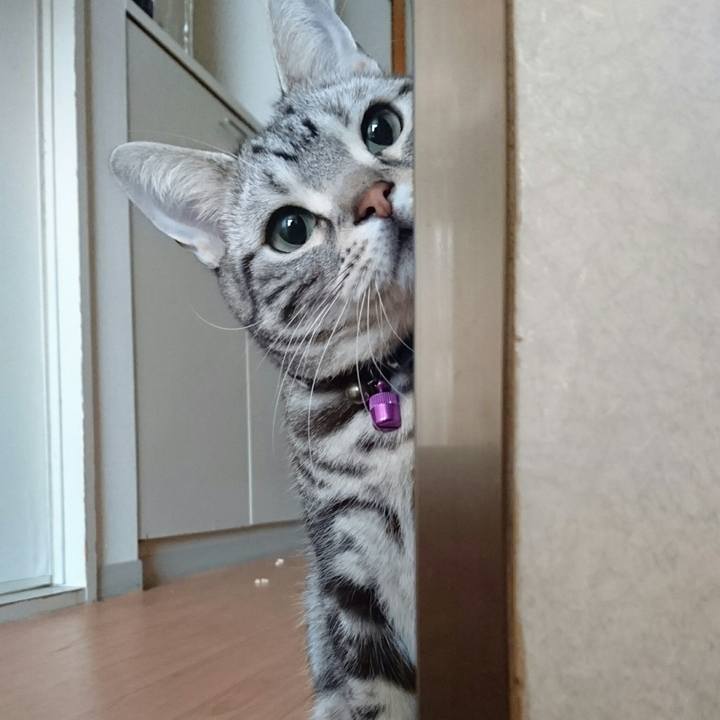 B3c70fcb 128d 4277 b165 a5fede394d63