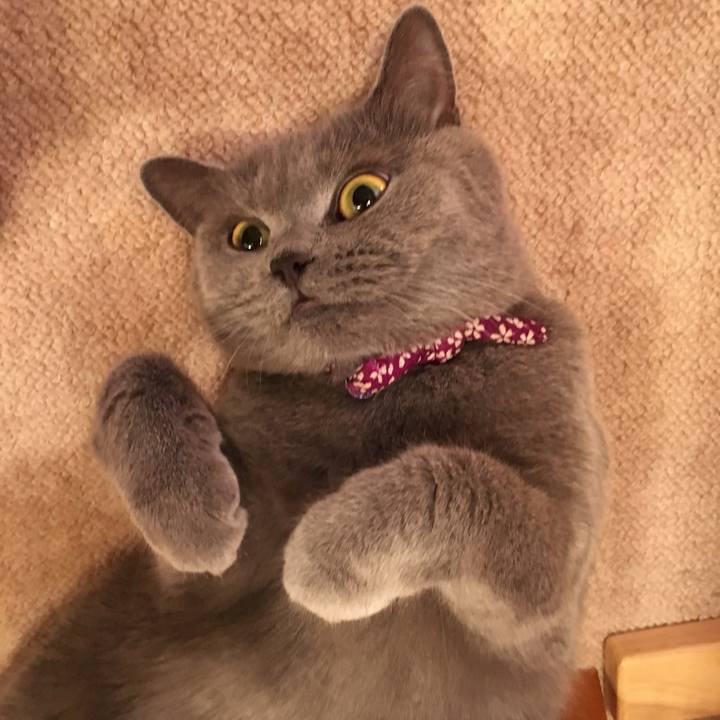 B3c73696 279d 4bd9 a893 cc1c2beec1e3