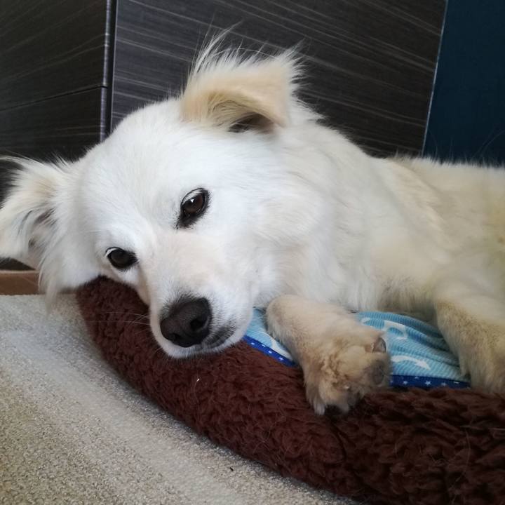 B3c73f8e 9a34 4739 acac afb1397578dd