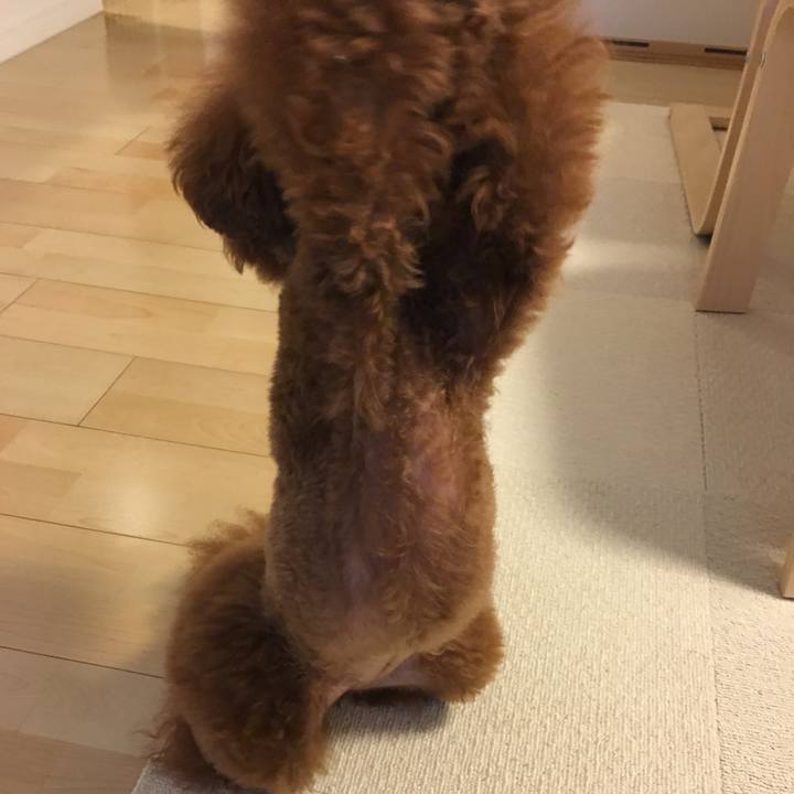 B3c7e216 a3cc 4663 a670 4bd93662f5d5