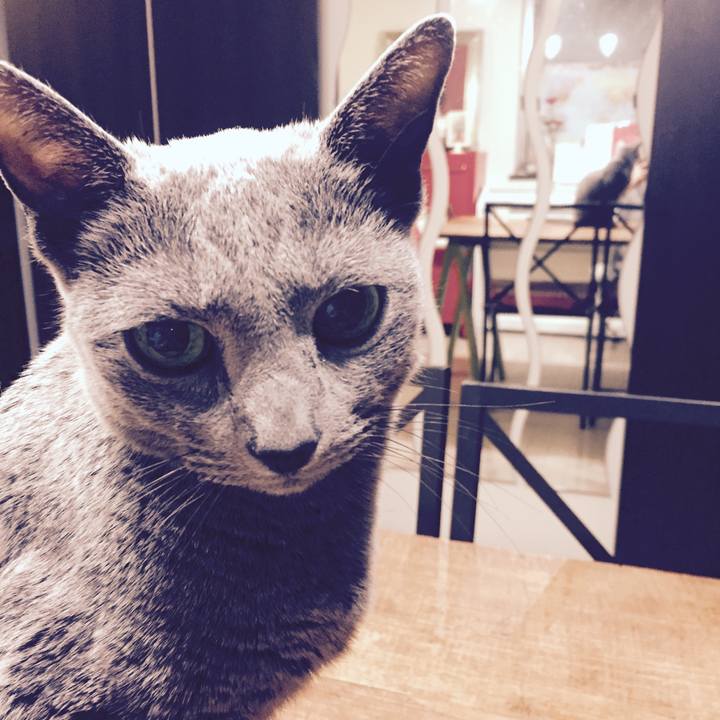 B3c83999 3748 478d aaa3 aff4a93369d3