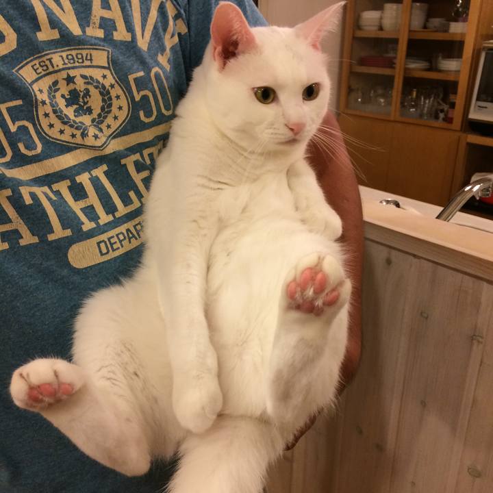 B3c8616c 9a20 48ab 8fe8 495413d0be06