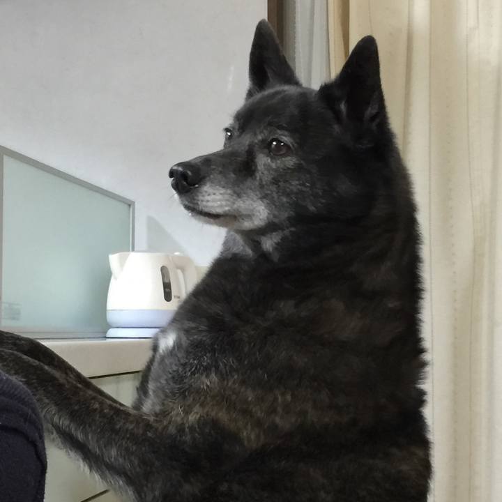 B3c86c81 a099 4e91 8628 c8befe71c60e