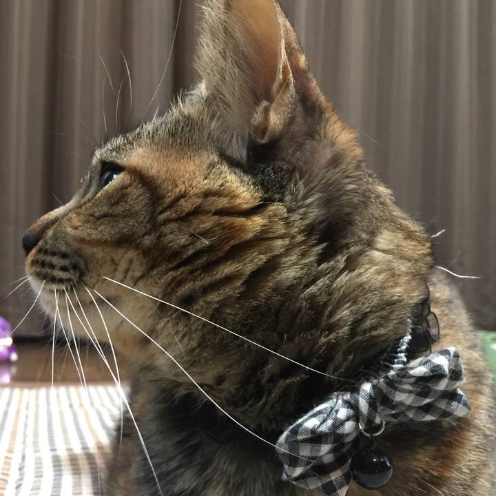 B3c899c2 b0c7 4659 82c2 f5d901ea74bd