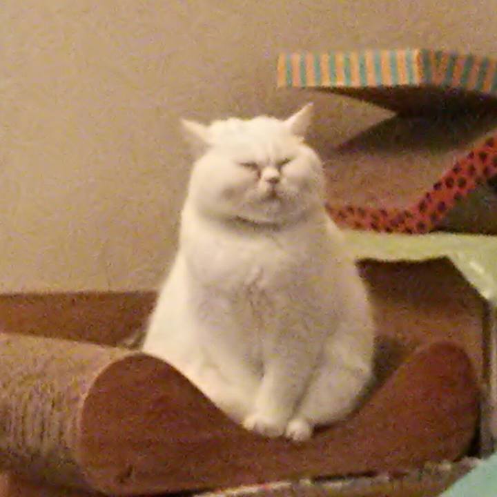 B3c915e0 d85c 4681 98d2 882f64b75b00