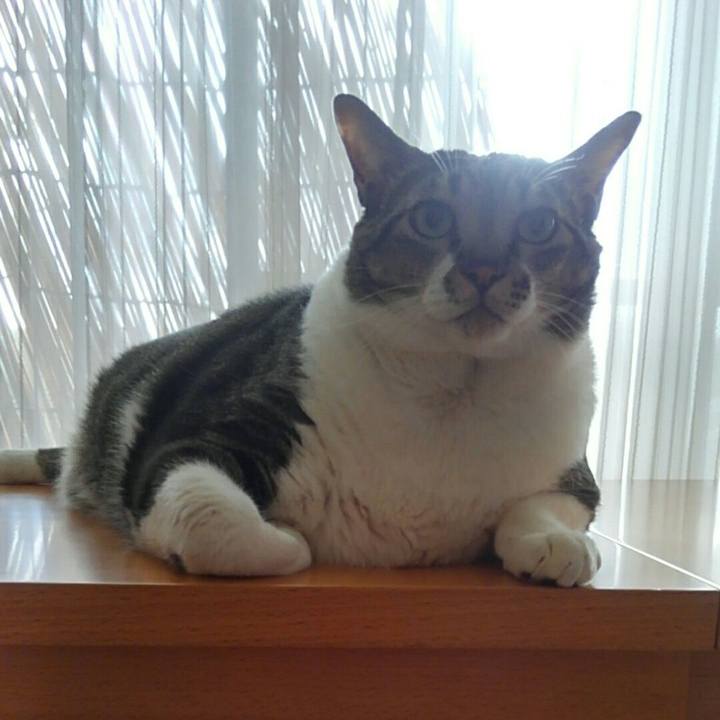 B3c97dc0 92d4 461d bcbb e548a8cfba13