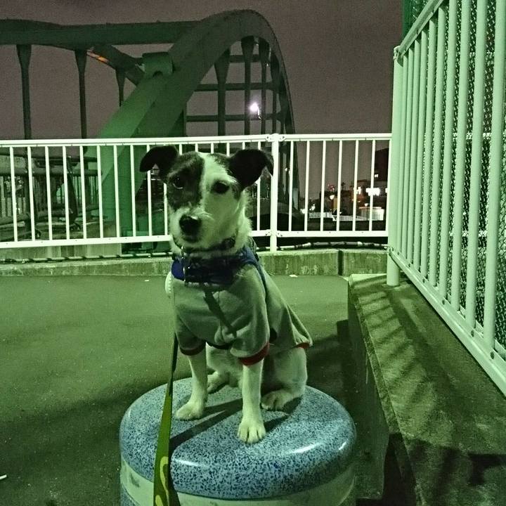 B3ca5460 d156 4731 b287 6158de3449d2